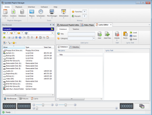 Subtitles and lyrics database and editor main window